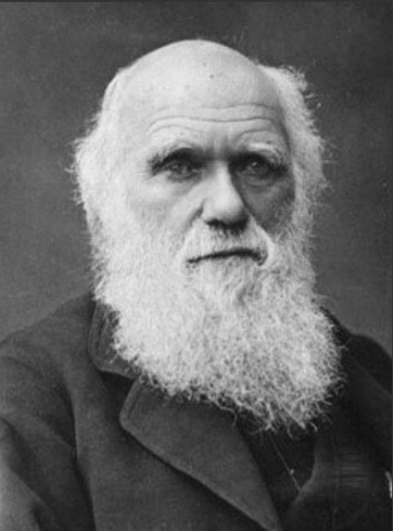 다윈의 진화론(종의기원)은 매슈의 '종의기원'을 표절한 사기였다!