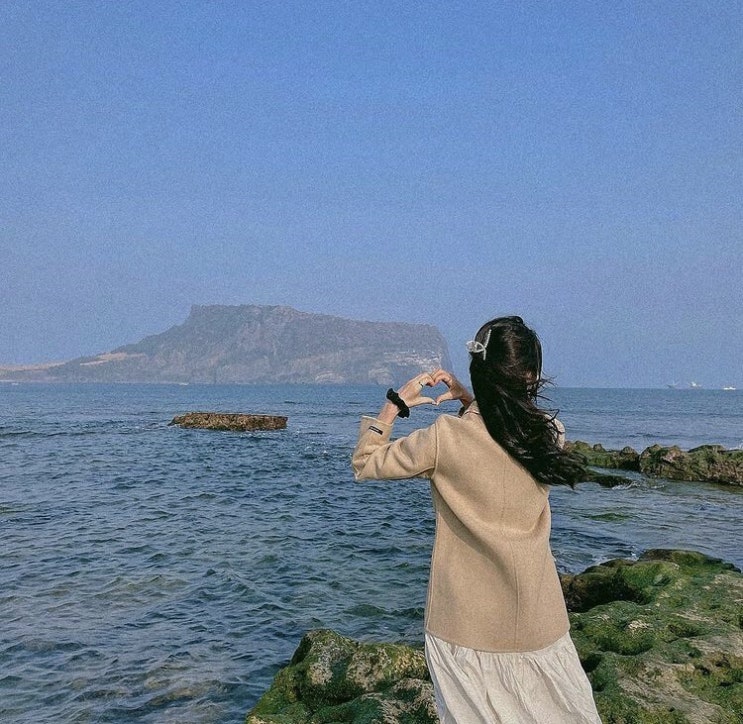  나의 꿈은 진화한다