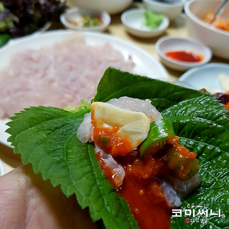 [길동사거리 세꼬시] 성내동 광어 세꼬시 맛집 "세꼬시" 저절로 술이 쭉쭉!