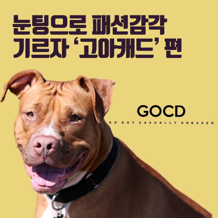  고아캐드(GOCD) 눈팅해서 패션감각길러요!