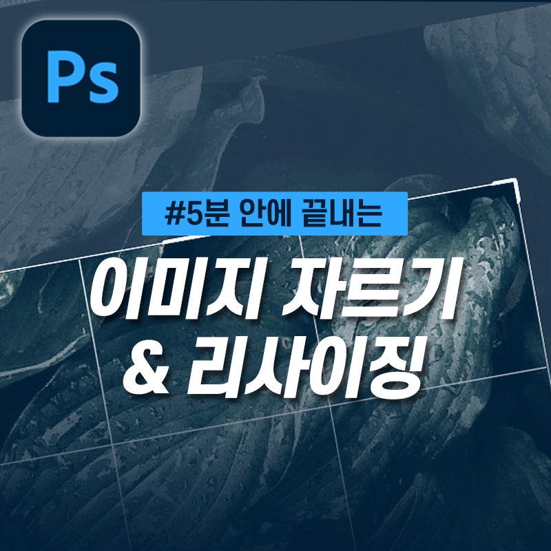 [5분 포토샵] 이미지 자르기 & 사이즈 변경하기