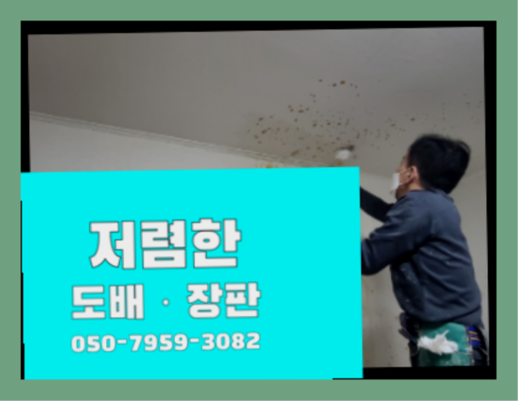  충신동 요가구인 ? 도배·장판 가성비 갑이죠
