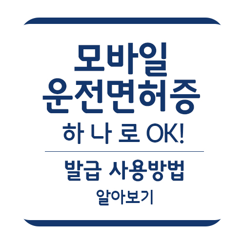  '우당탕탕' IC운전면허증 실물 발급 수령