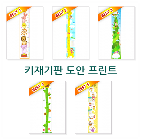  키재기판 도안 프린트해서 환경구성 꾸미기