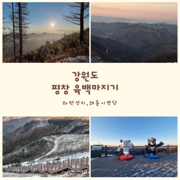  강원도 평창 여행 청옥산 육백마지기 해돋이명소 아이들하고 다녀왔어요