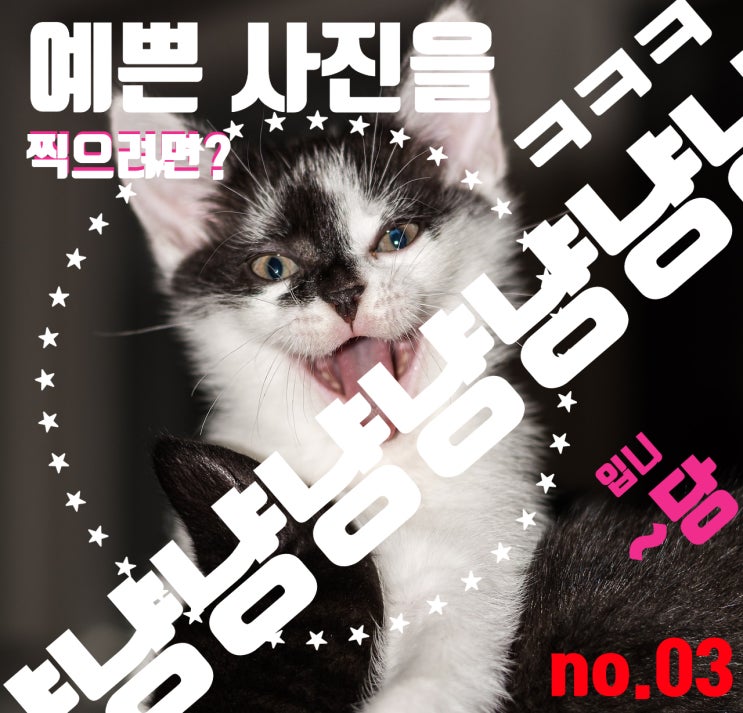  리딩라인? 선의 흐름을 잡아라! 예쁜 사진을 찍으려면 움직여라!
