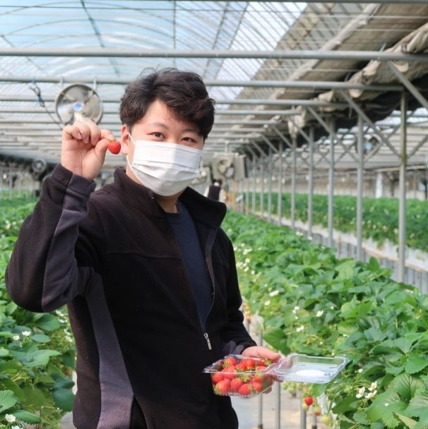  딸기농장체험, 딸기쨈만들기 - 포시즌체험농장