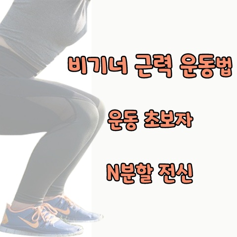  비기너 근력 운동법(운동초보자, N분할? 전신?)