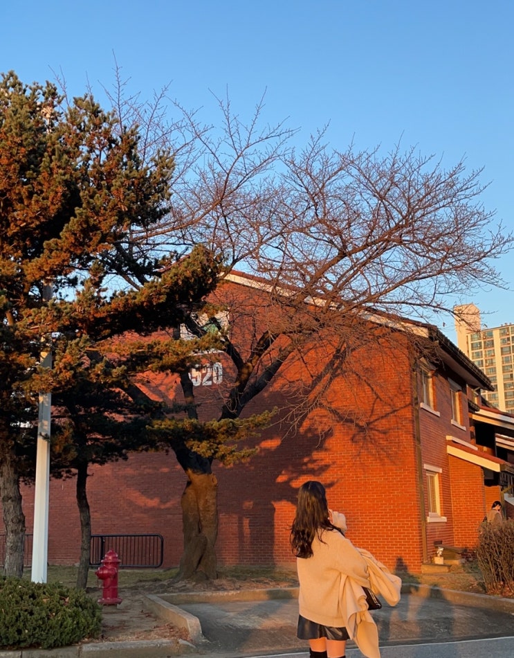  [서울|용산|장소] 요즘 핫한 용산공원 미군 기지