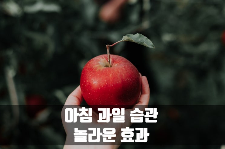  아침 과일 습관의 놀라운 효과