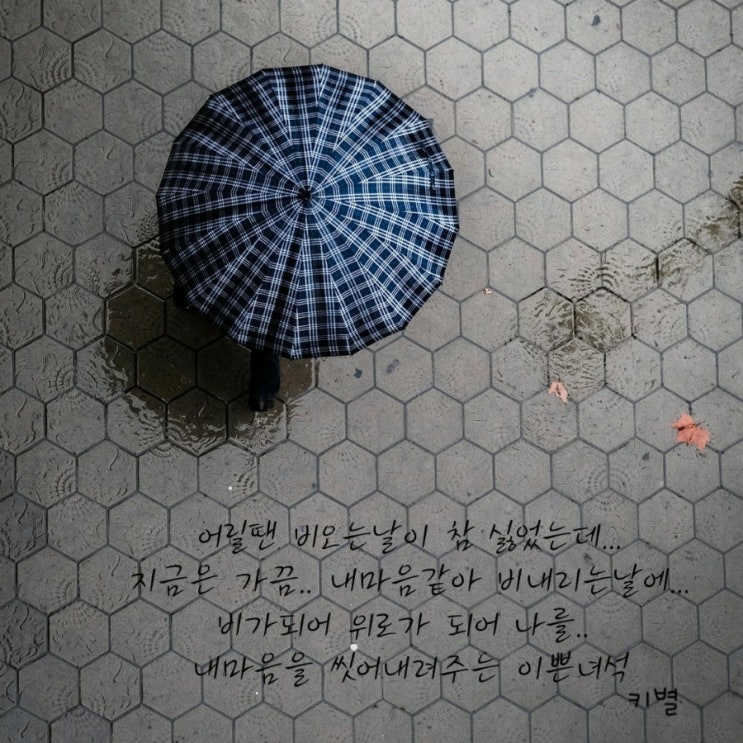  비오는날(비)(빗방울)(내생각)(감성글귀)(글귀)