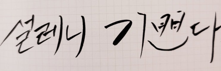  설레니 기쁘다