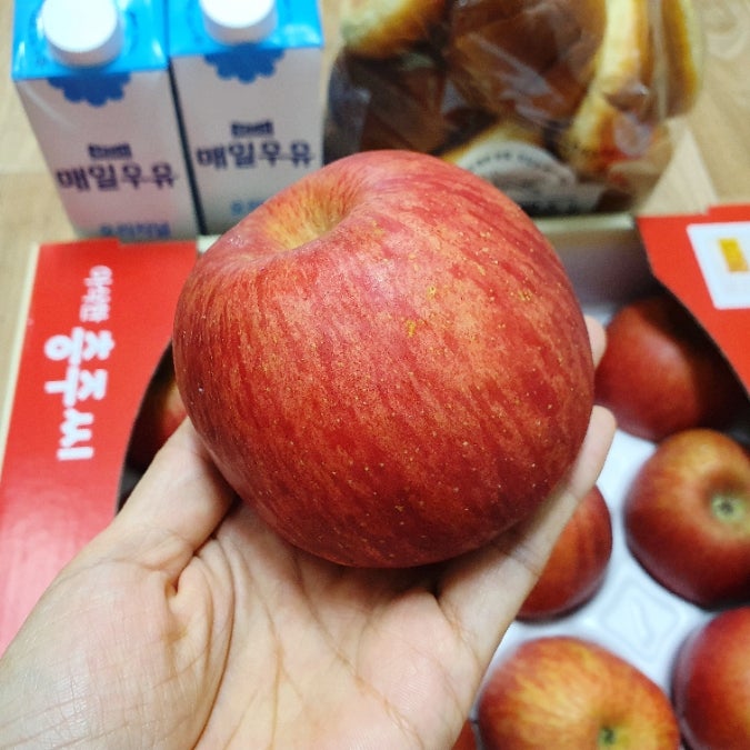 쿠팡 로켓프레시 장바구니, 러쉬 입욕제, 충주 사과 맛있어요 쿠팡 로켓프레시 장바구니, 러쉬 입욕제, 충주 사과 맛있어요