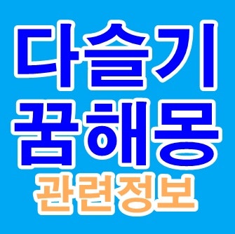 다슬기꿈 해몽 다슬기잡는꿈 줍는꿈 먹는꿈 보는꿈 태몽 등 다슬기 나오는 꿈