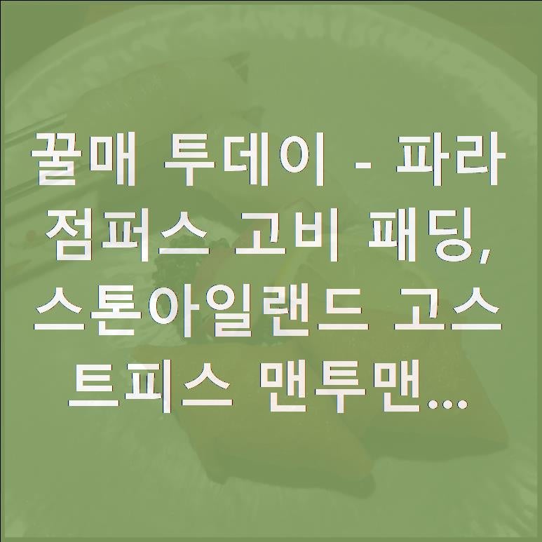 꿀매 투데이 - 파라점퍼스 고비 패딩, 스톤아일랜드 고스트피스 맨투맨...