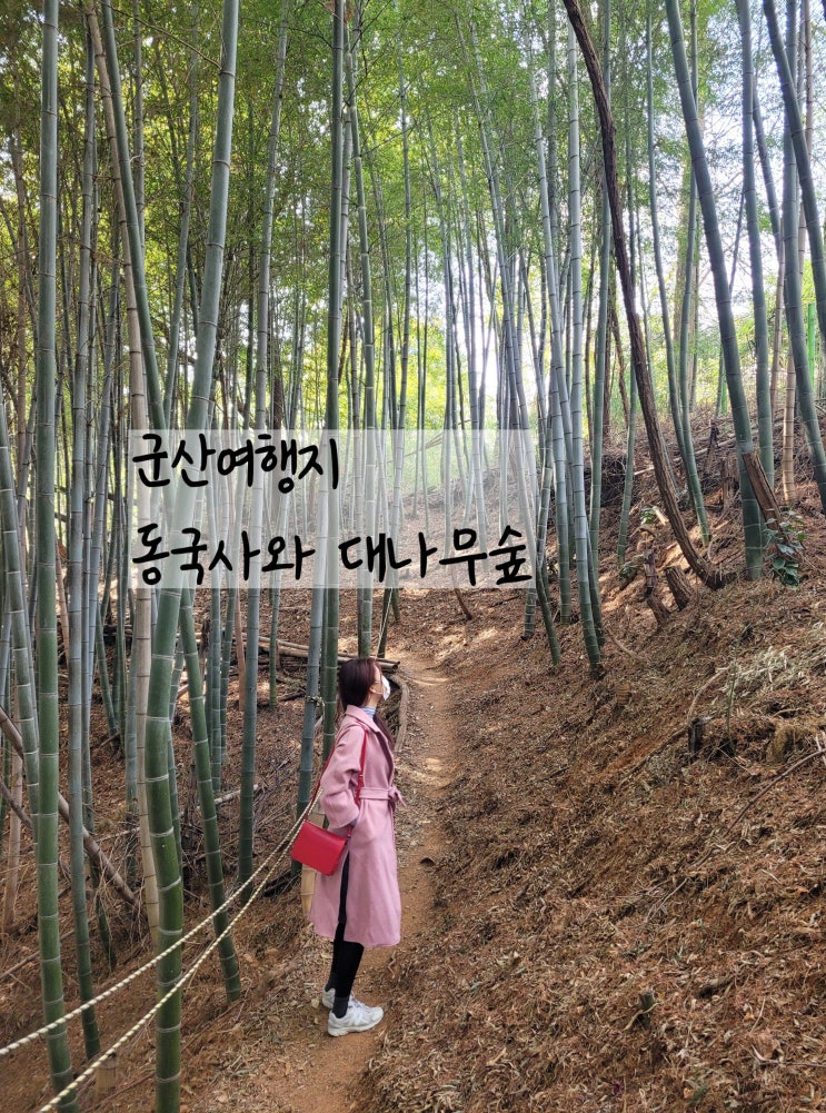  군산여행지추천 동국사와 대나무숲 + 월명동 근대문화거리