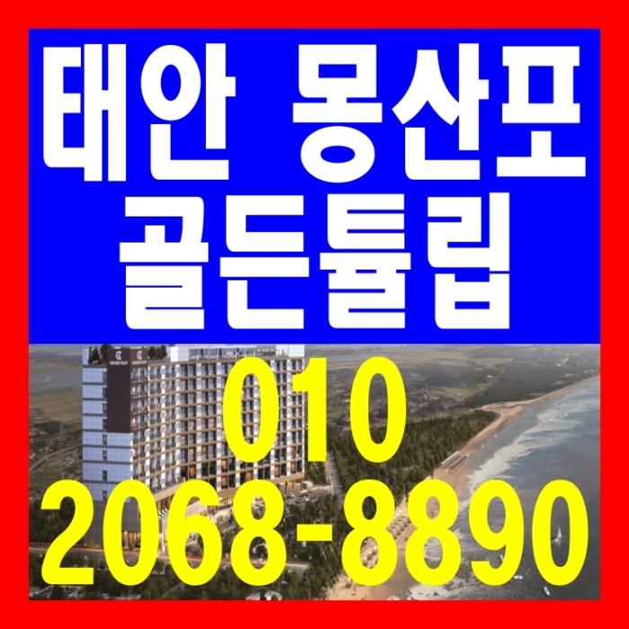 태안 몽산포 골든튤립  세계적 호텔그룹 공급 정보
