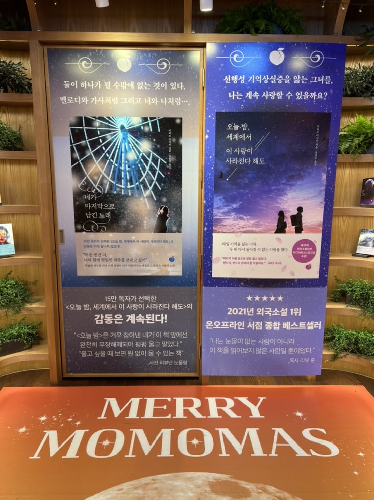  광화문 교보문고 책 구경
