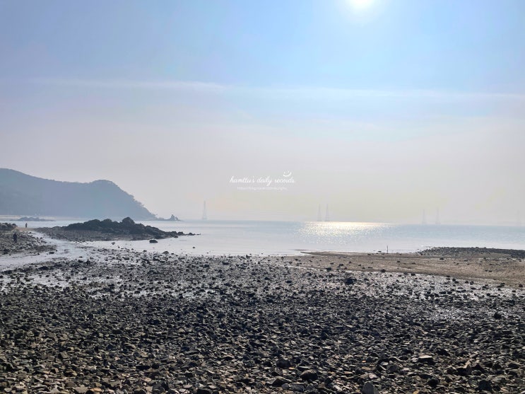  [대부도 갈만한곳] 시화나래 달전망대, 구봉도 낙조전망대, 대부해솔길, 대부도포도빵