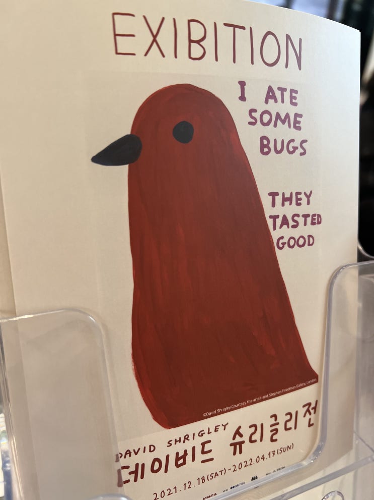  데이비드 슈리글리전 서울전시회 추천 : 위치,후기