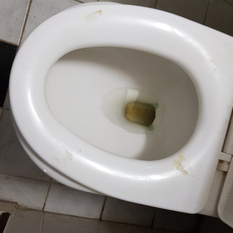  안산초지동그린빌주공