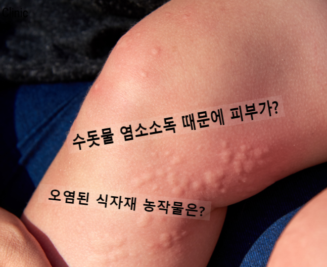 수전 필터로 될까? 왜 안전한 생수를 사먹을까? 수돗물 오염 상수원 낙동강 녹조라떼 폭망. (페놀/카드뮴/마이크로시스틴) 수전 필터로 될까? 왜 안전한 생수를 사먹을까? 수돗물 오염 상수원 낙동강 녹조라떼 폭망. (페놀/카드뮴/마이크로시스틴)