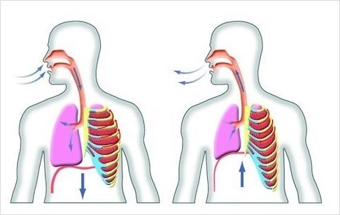  [센텀pt/센텀피티 유니크짐] 웨이트 호흡법을 알고 운동하자!<호기호흡, 무산소운동, 발살바호흡법>