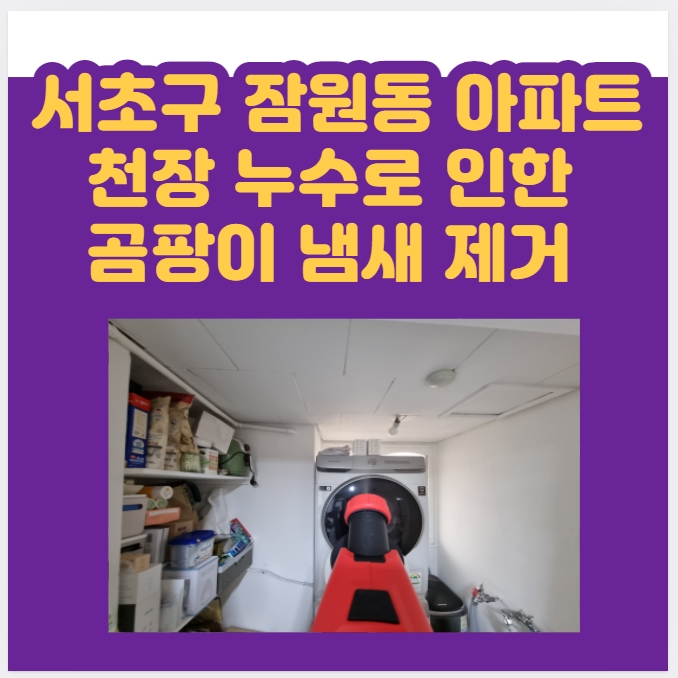  서초구 잠원동 윗집 누수로 인한 천장 도배 곰팡이 악취냄새 제거 보험처리로?