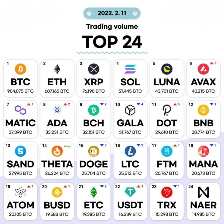 2월11일 거래량 TOP 24 및 투자 목록