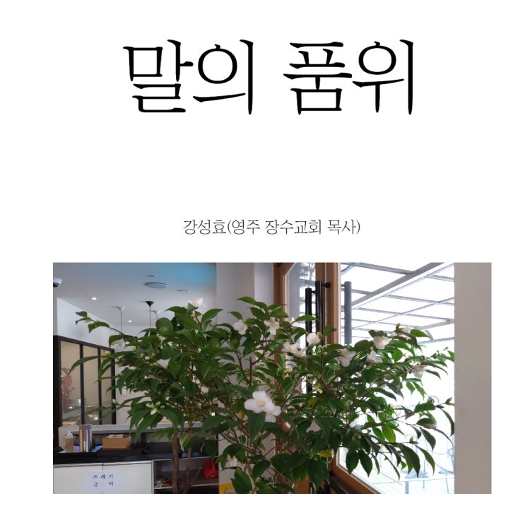  말의 품위