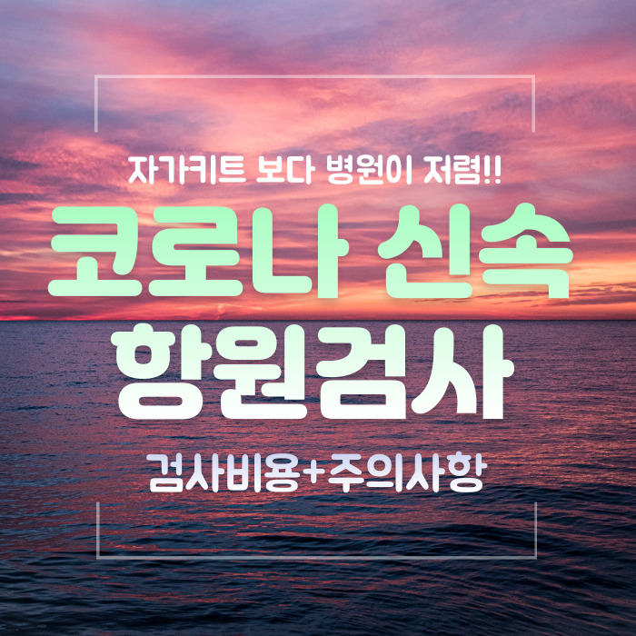  코로나 신속항원검사 검사 비용 및 주의사항 찐경험담!!