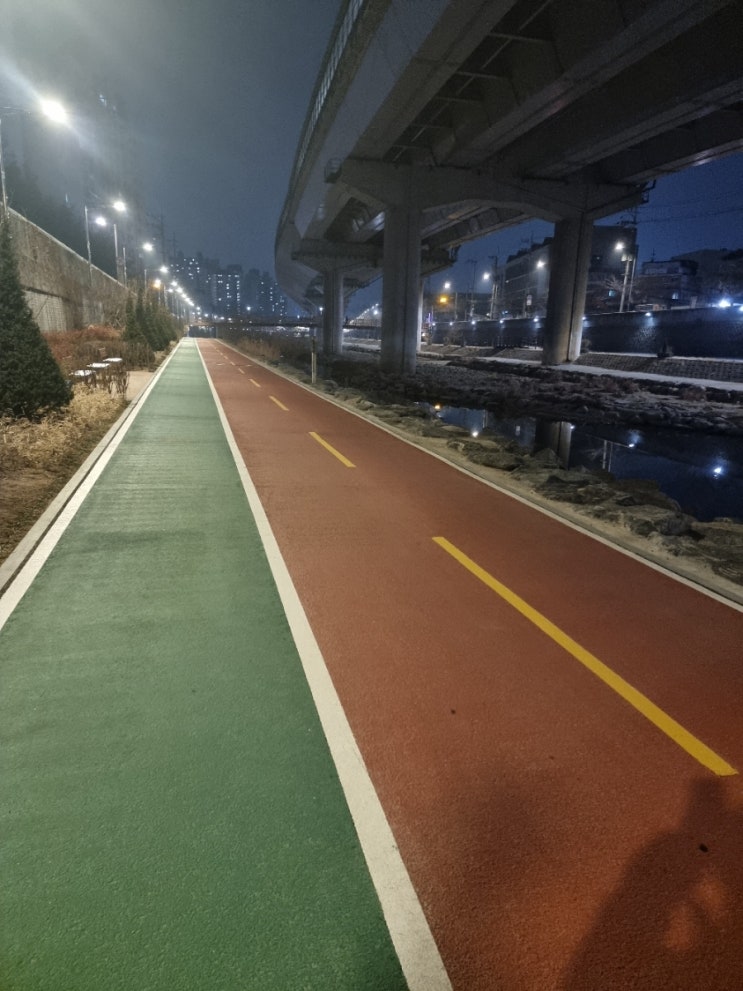  저녁운동