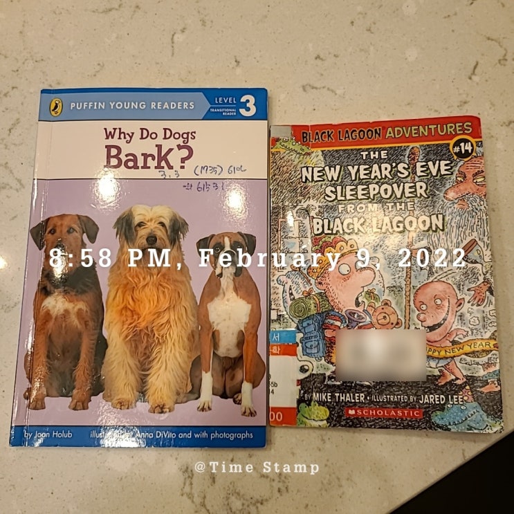  [22.02.09.] WHY DO DOGS BARK? / BLACK LAGOON ADVENTURES