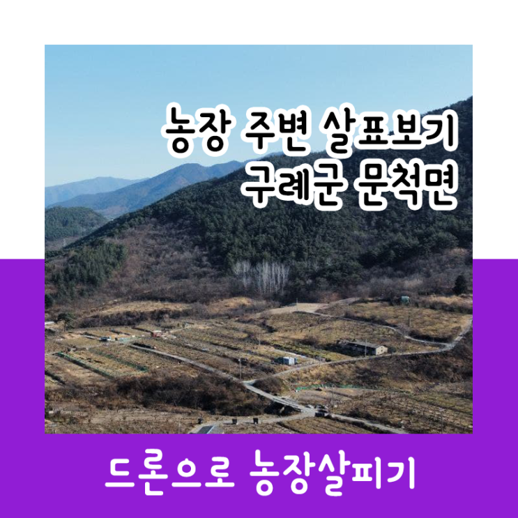  농장 주변 살펴보기(구례군 문척면) feat.드론
