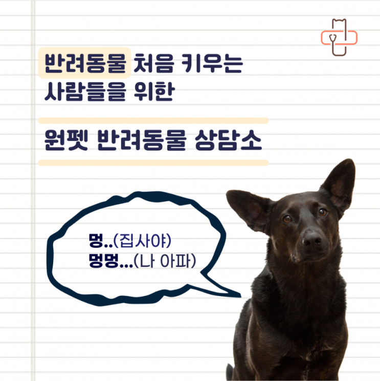  [반려동물 상담소]반려동물 비대면진료가 가능한 시대!