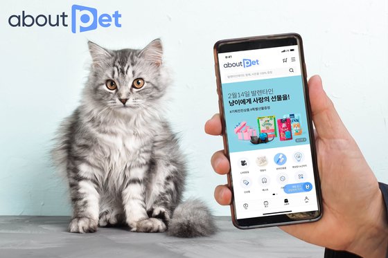 커지는 펫(pet) 시장 중심에 MZ 있다…"펫은 가족"