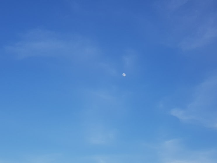  앞으로 정성스러운 댓글 금지예요, 여러분!