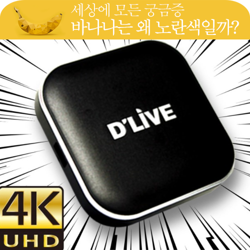 딜라이브 올인원 2월 프로모션 요금과 할인 방법이 궁금합니다. 딜라이브 올인원 2월 프로모션 요금과 할인 방법이 궁금합니다.