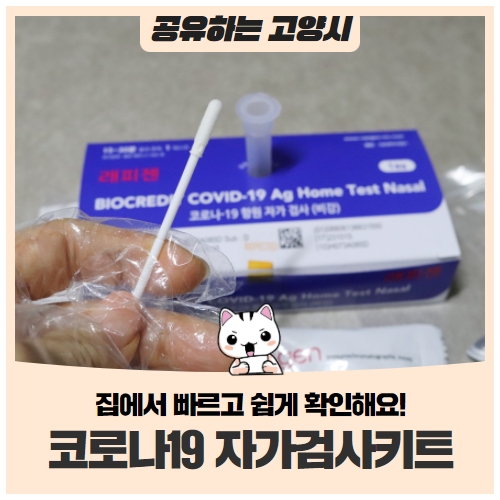 코로나19 자가검사키트로 집에서 빠르고 쉽게 확인해요! 코로나19 자가검사키트로 집에서 빠르고 쉽게 확인해요!