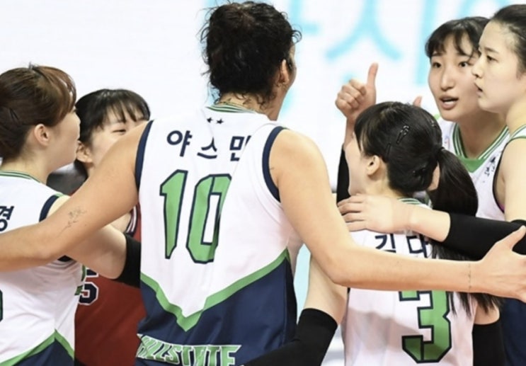 KOVO 프로배구 13일 국내 남자배구 현대캐피탈 OK금융그룹 여자배구 현대건설 IBK기업은행 KOVO 프로배구 13일 국내 남자배구 현대캐피탈 OK금융그룹 여자배구 현대건설 IBK기업은행
