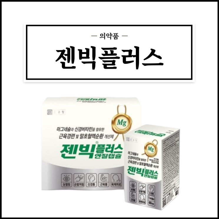  젠빅플러스, 효능효과/복용법/부작용/주의사항 등 간단정리