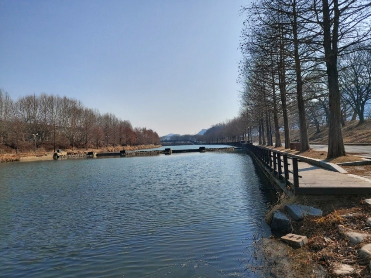  담양 맨발걷기와 산책하기 좋은곳 관방제림 좋아요!