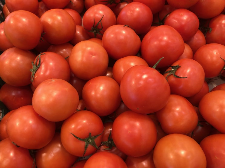 토마토 효능 피로회복과 항산화