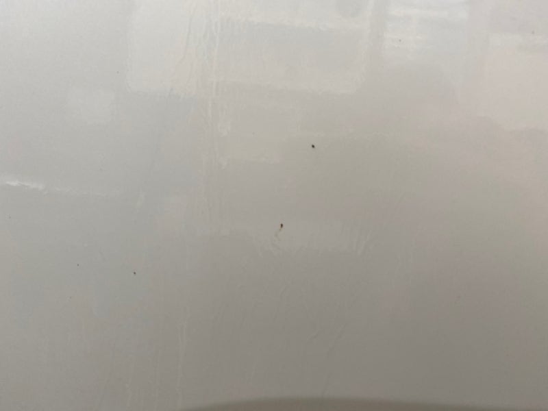 수원 영통구 / 디테일링/세차 / 볼보