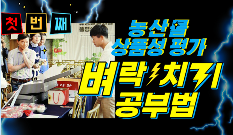  [경매사필수과목-청과부류 상품성평가 #1] 경매사 되려면 이 정도는 알아야지! (호흡급등형, 에틸렌, 수확후 변화)