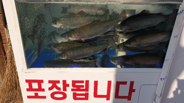 강릉왕족발 송어회 사진 2