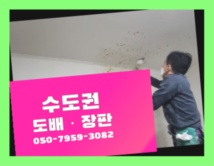  장존동 사는집도배 ? 도배·장판 최곱니다!