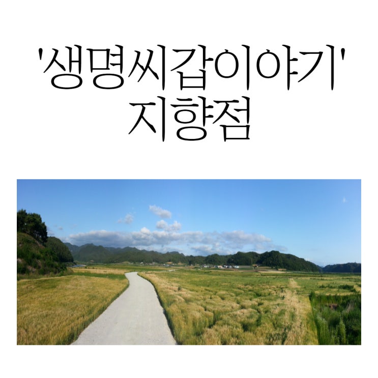  '생명씨갑이야기'의 지향점