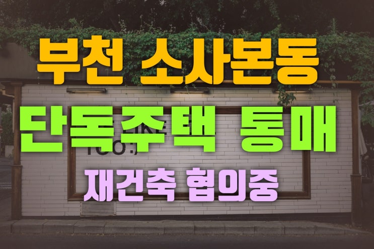  부천 소사본동 단독주택 통매 먼저 잡는게 임자