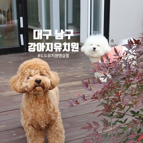 사진 5